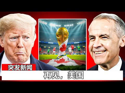 世界杯,德国国家队,全景解析,开云赞助,体育赞助平台,足球赛事赞助,NBA赞助资讯,体育合作信息
