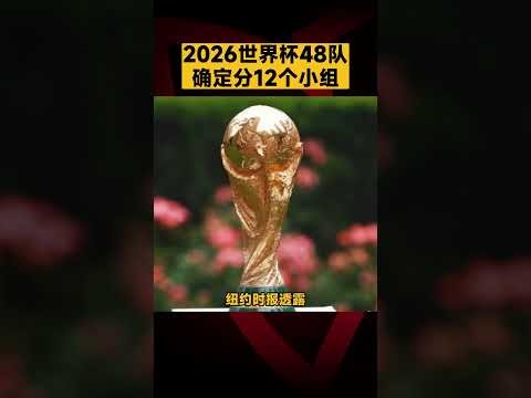 徐梦桃在世,锦赛第七战,成功斩获银,开云赞助,体育赞助平台,足球赛事赞助,NBA赞助资讯,体育合作信息