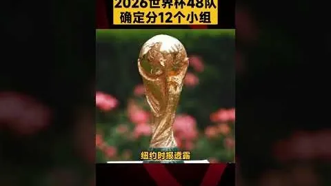 徐梦桃在世锦赛第七战成功斩获银奖