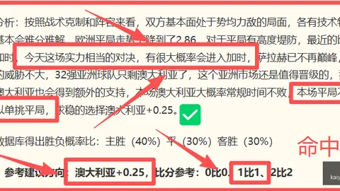 开云赞助，足球赛事赞助， 103216 57